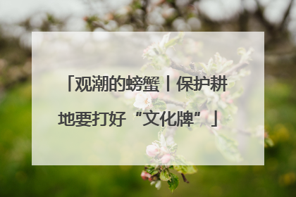 观潮的螃蟹丨保护耕地要打好“文化牌”